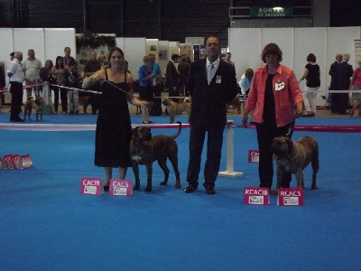 El Corazon Del Cazador - flaya ECDC championne de france !!!!