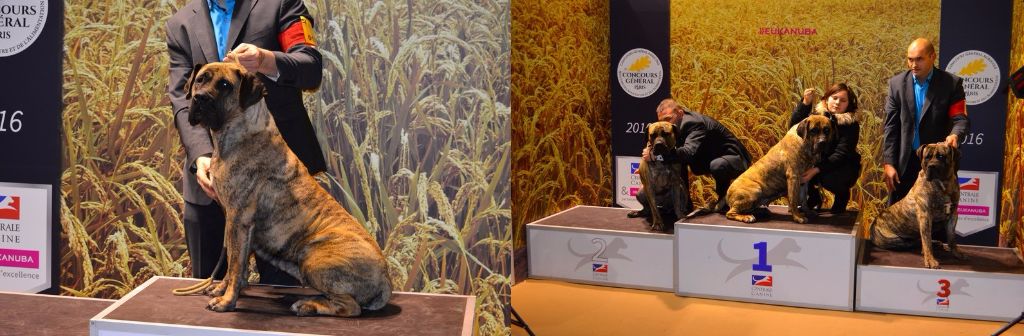 El Corazon Del Cazador - Salon de l'agriculture, Paris Février 2016