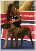  - Flaya ECDC Championne de suisse
