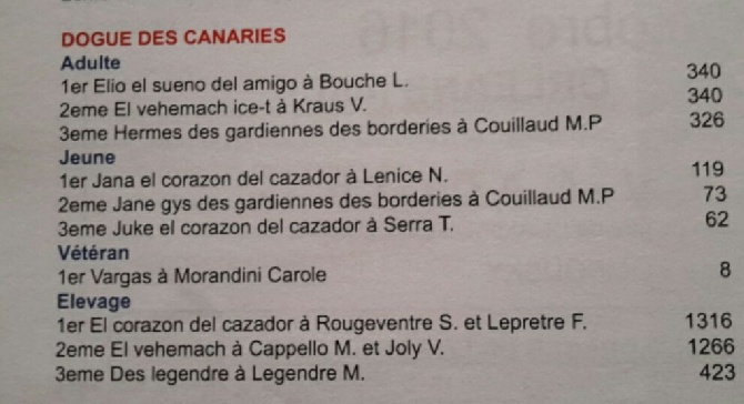 El Corazon Del Cazador - meilleur élevage de dogo canario 2015 - challenge club de race camila