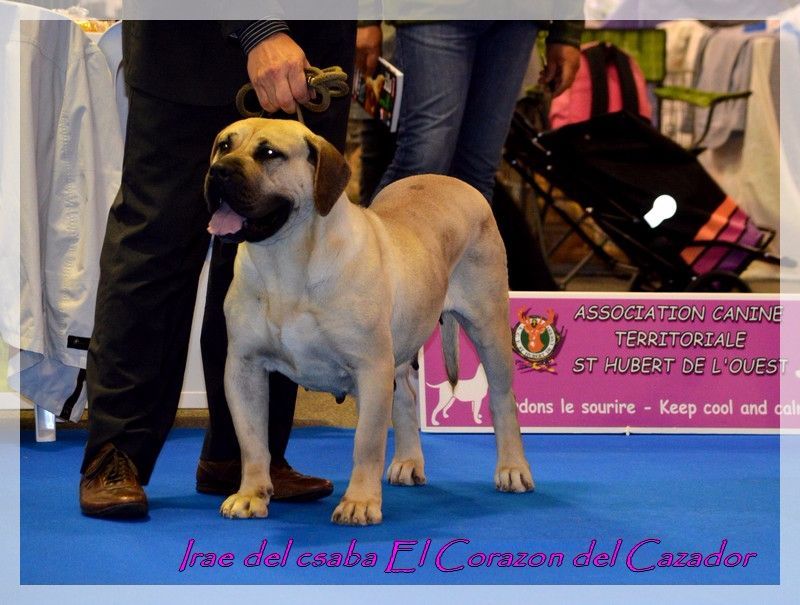 El Corazon Del Cazador - Irae: championne internationale de beauté 