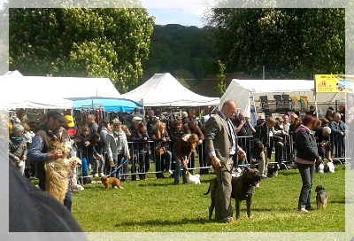 El Corazon Del Cazador - exposition d'Evreux mai 2013