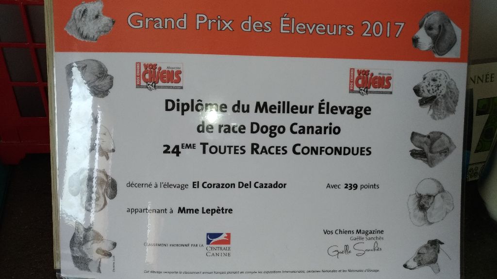 El Corazon Del Cazador - Meilleur élevage de dogo canario 2017