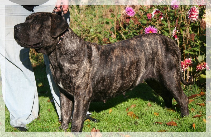 Esperanza El Corazon Del Cazador