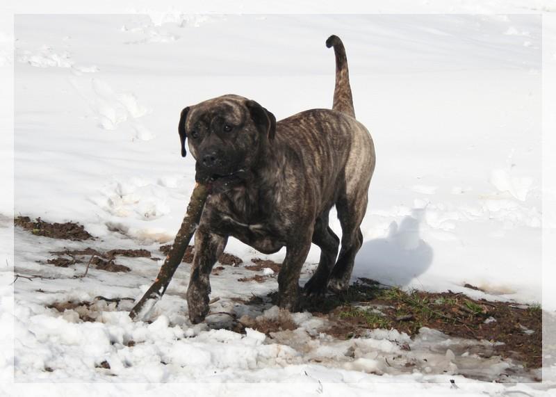 Hoana El Corazon Del Cazador