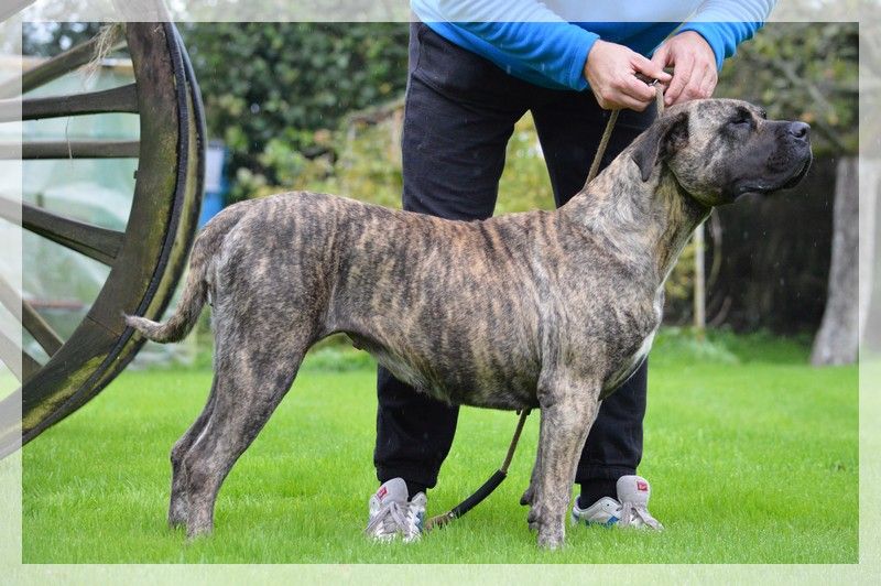 Fuente des Terres d'Europe